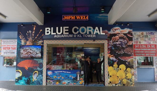 Narui My KL Tower Blue Coral
