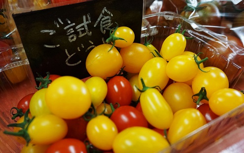 青森県産プチトマト